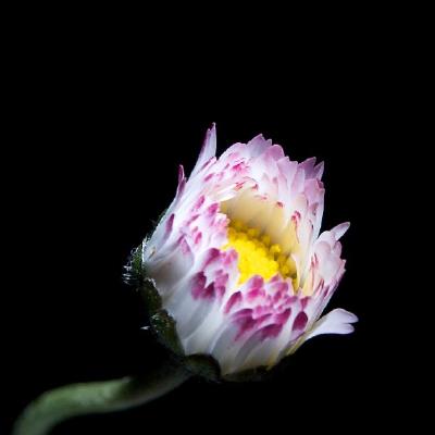 MG_9894-Version-2.jpg